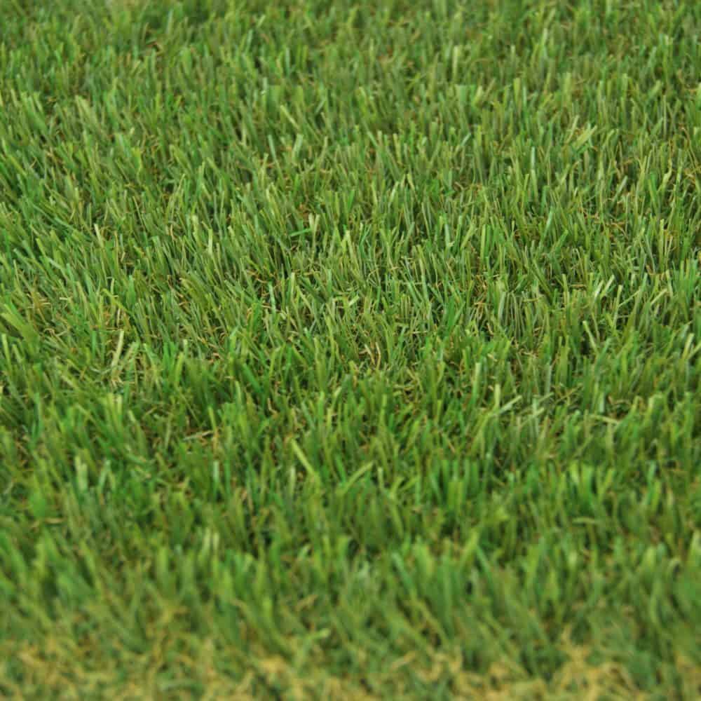Green Park - 27 mm (déstockage) – Image 2