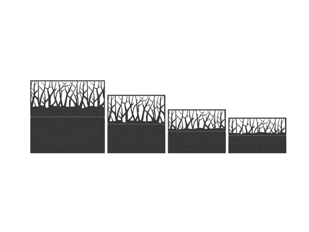 Contorta – Image 2