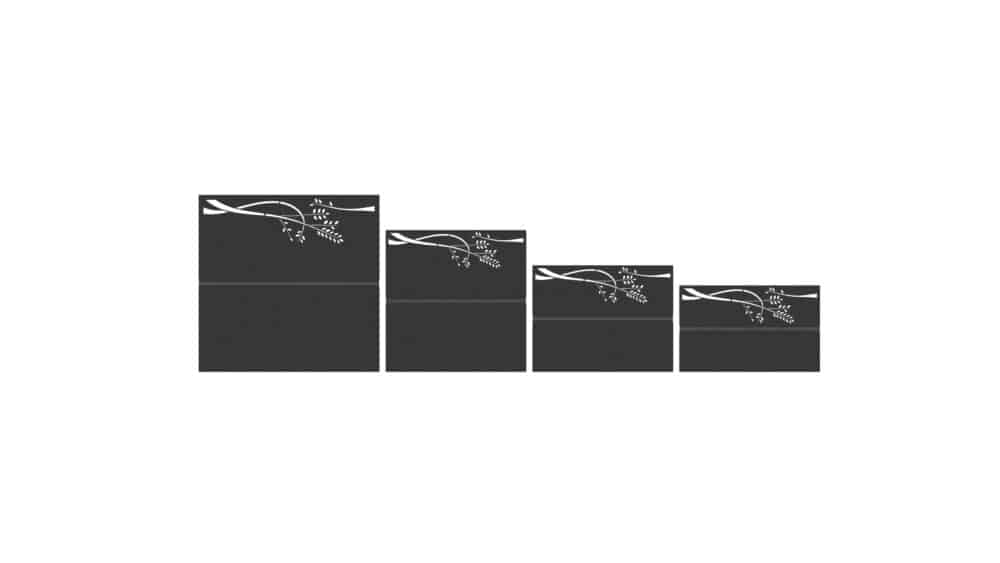 Cydonia – Image 2