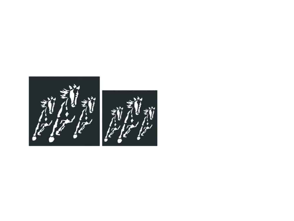 Drimys – Image 2