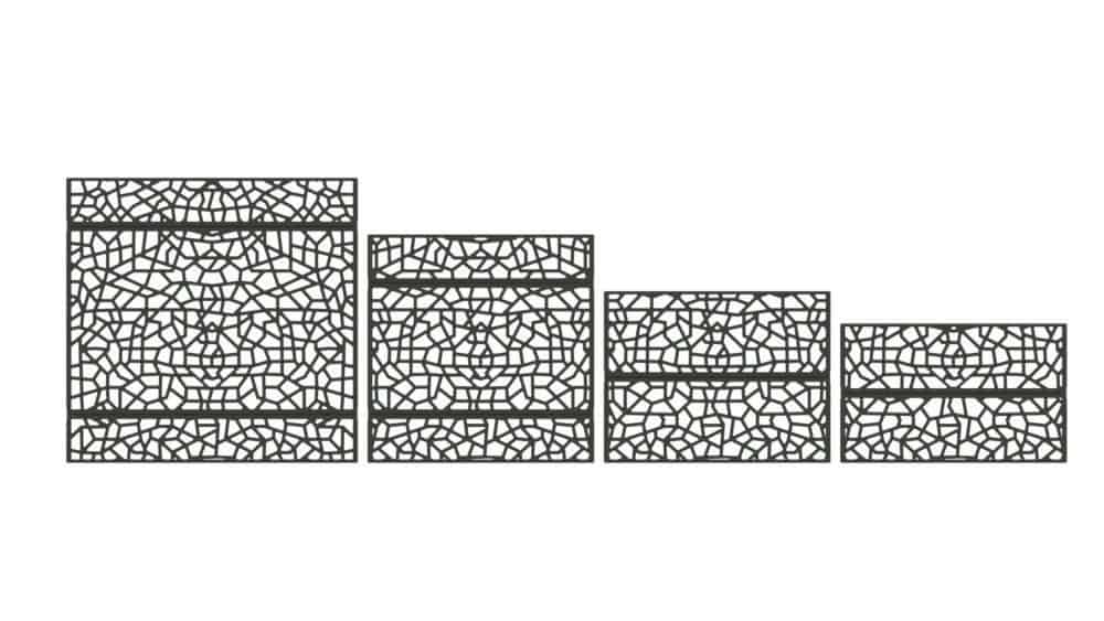 Idesia – Image 2
