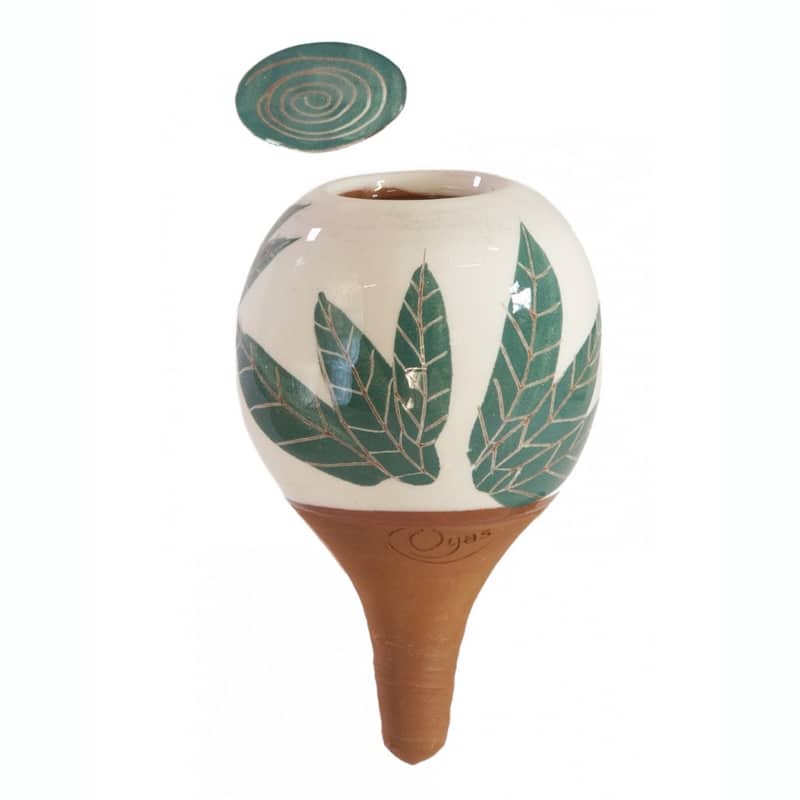 Oyas® à planter S - Bea feuilles
