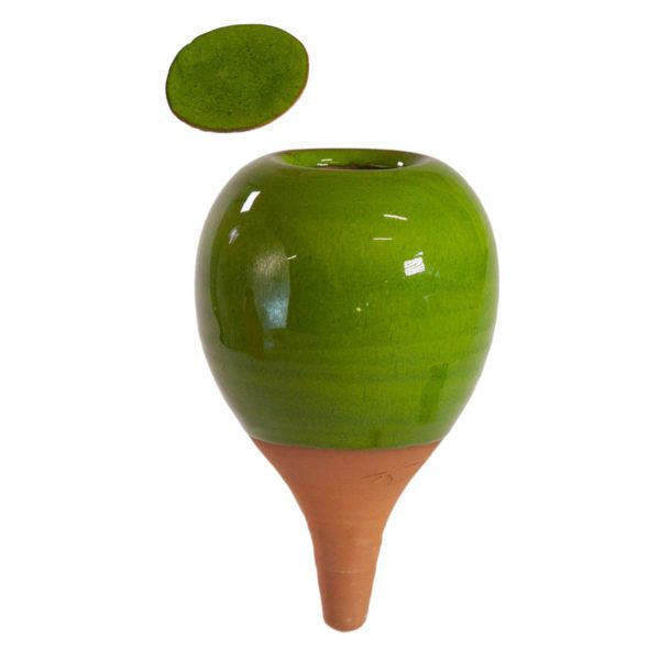 Oyas® à planter S - Vert