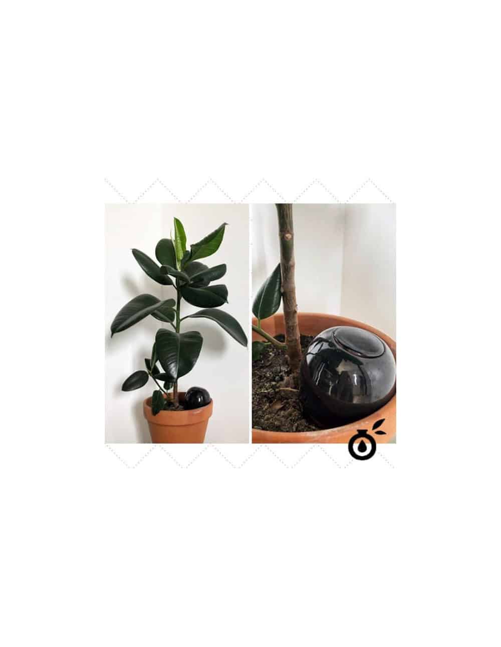 Oyas® à planter S - Noir – Image 2