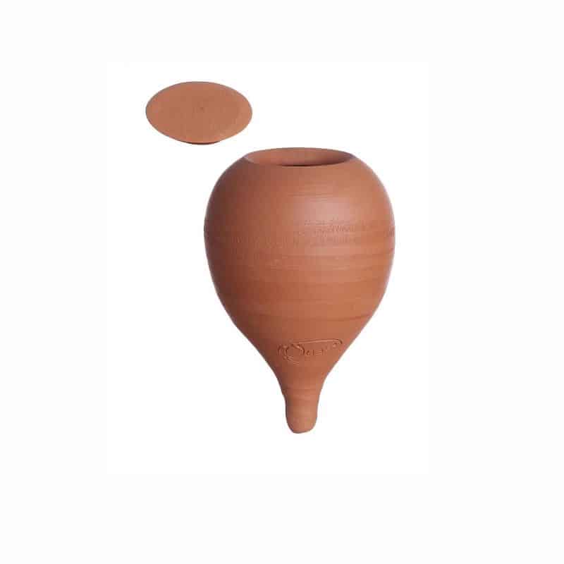 Oyas® Mini à planter - Naturelle