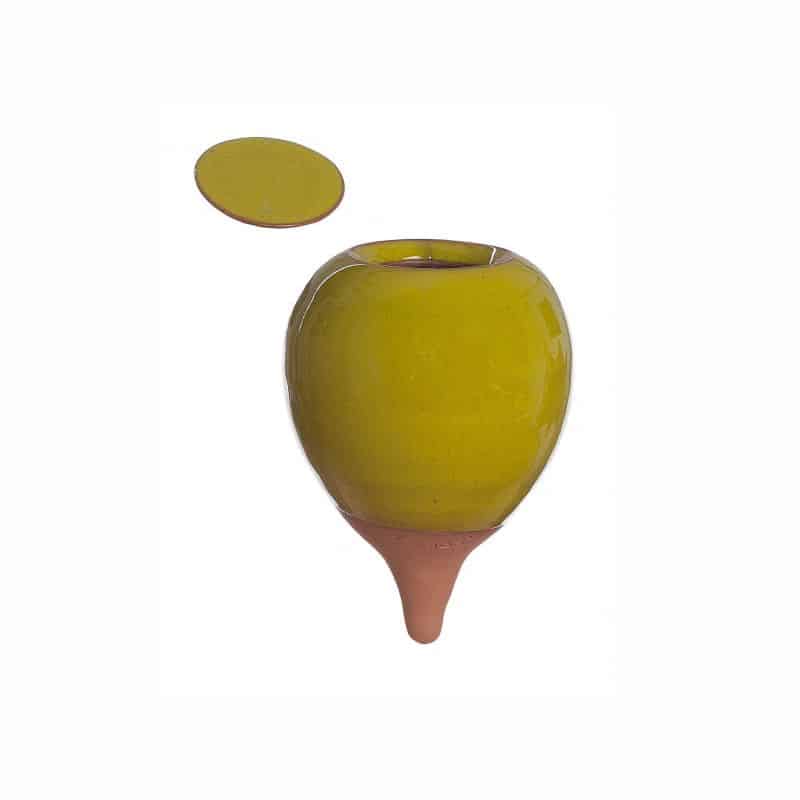 Oyas® Mini à planter - (Pomme)