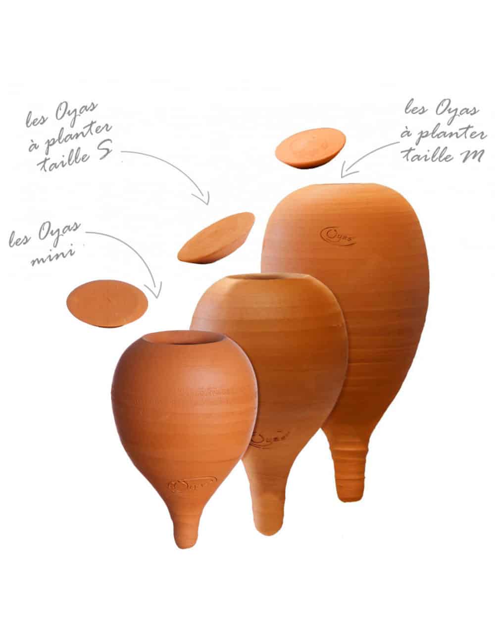 Oyas® Mini à planter - (Pomme) – Image 2