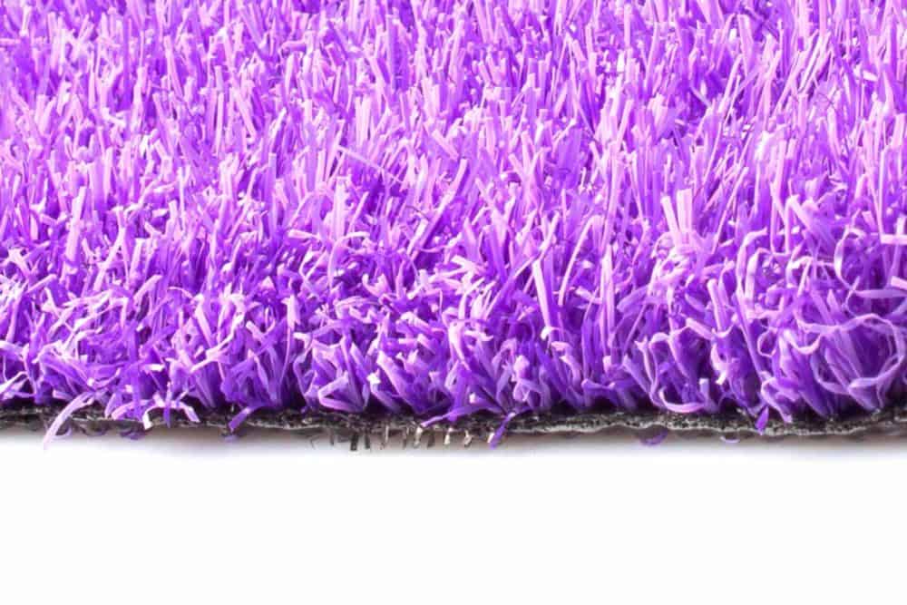 Fashion Park Violet 25mm – Image 2