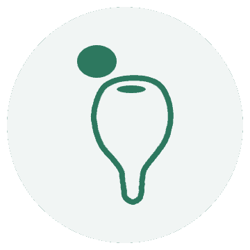 jardishop - jardin, shop, boutique ligne, vente, gazon, synthétique, panneau, protection, valais, vaud, genève, neuchâtel, fribourg, suisse