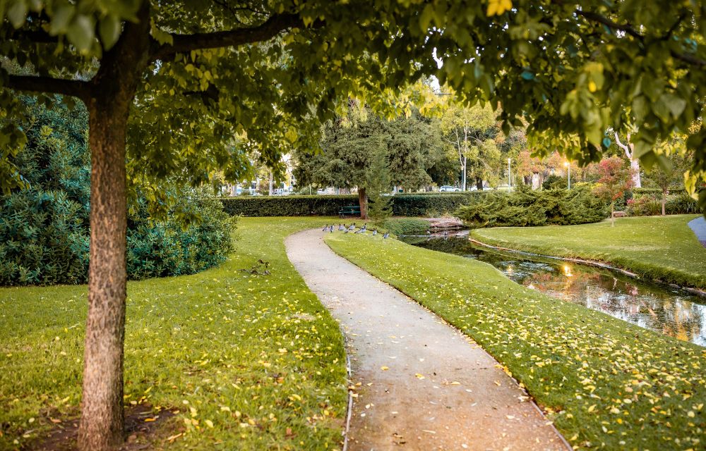 Poser-gazon-pour-jardin