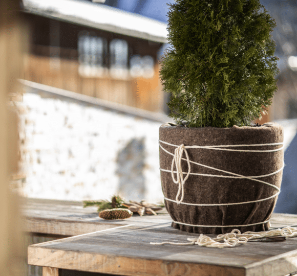 Natte d’hiver pour bacs à plantes – 500 g/m² - 60x200cm – Image 2