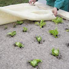 Natte antigel pour plates-bandes du jardin 150 gr - 150x200cm – Image 3