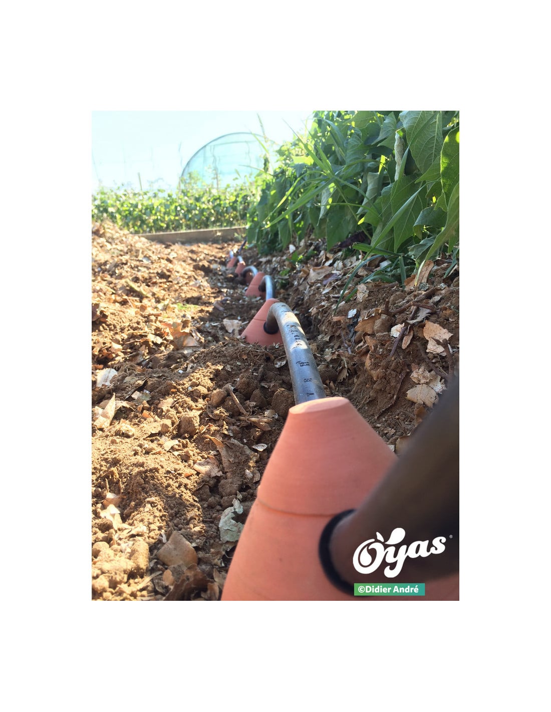 Kit tout équipé Guirland-Oyas® x 3M – Image 4