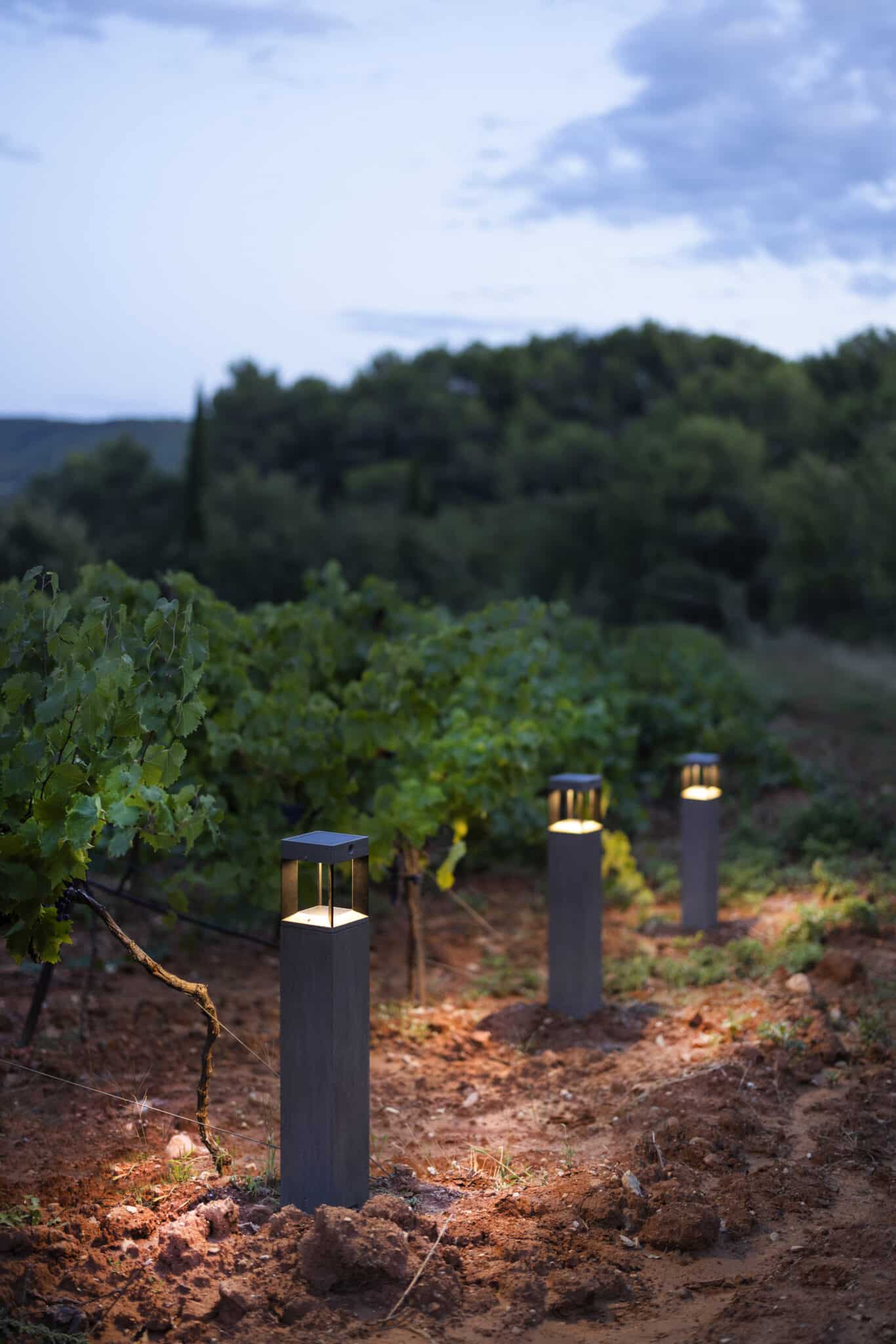 Borne Tekura – Noir – Image 2