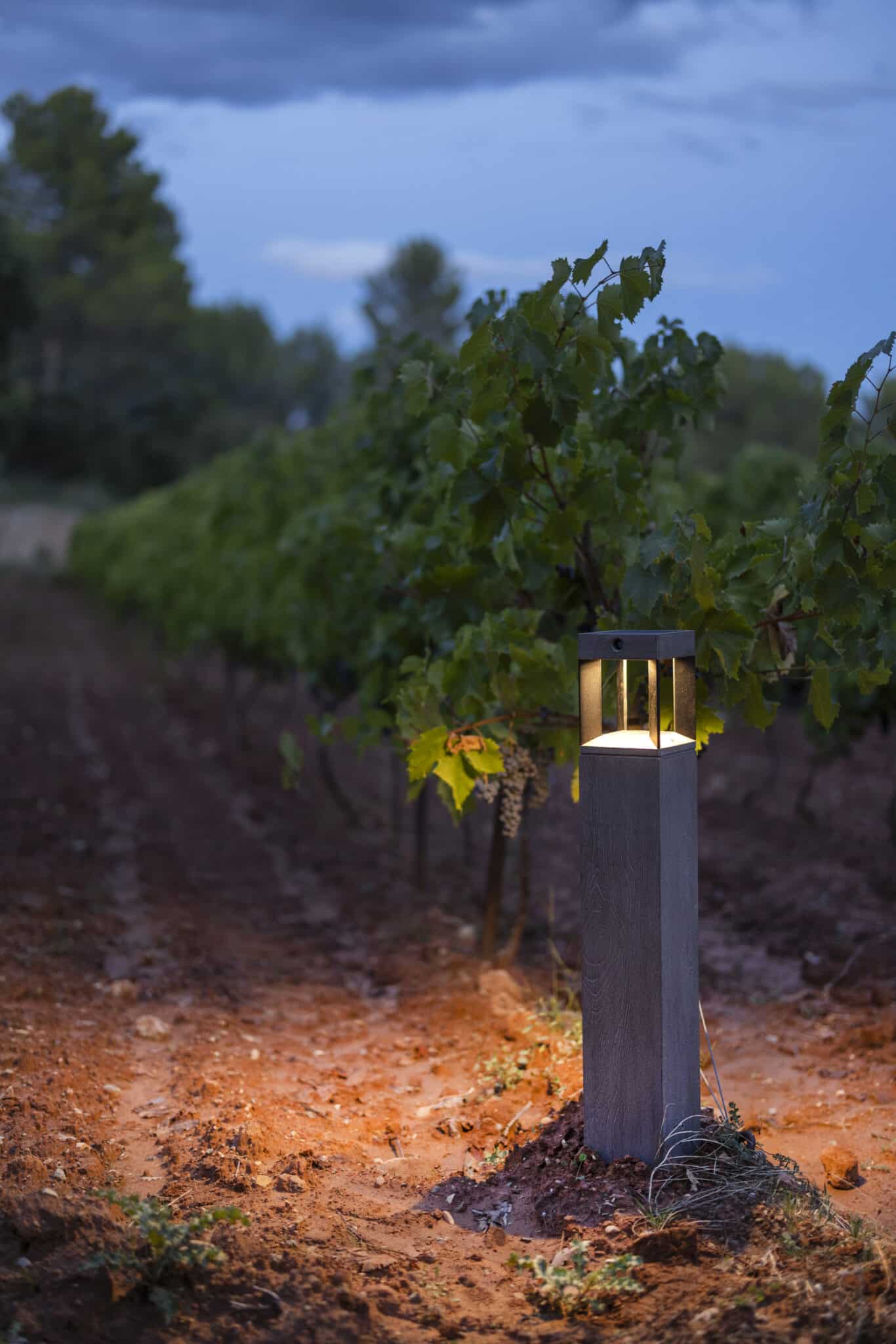 Borne Tekura – Noir – Image 3