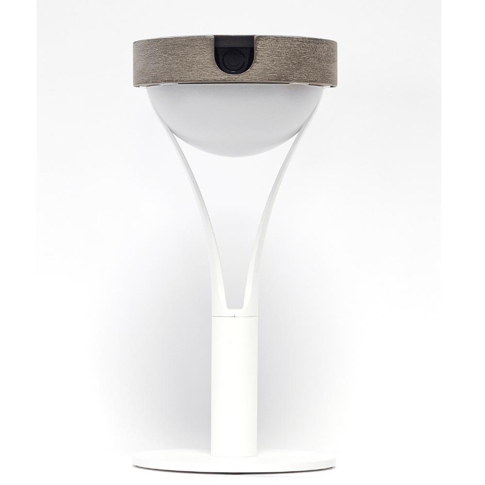 Lampe de table TYBLE 200 Lumens 26 cm Blanc