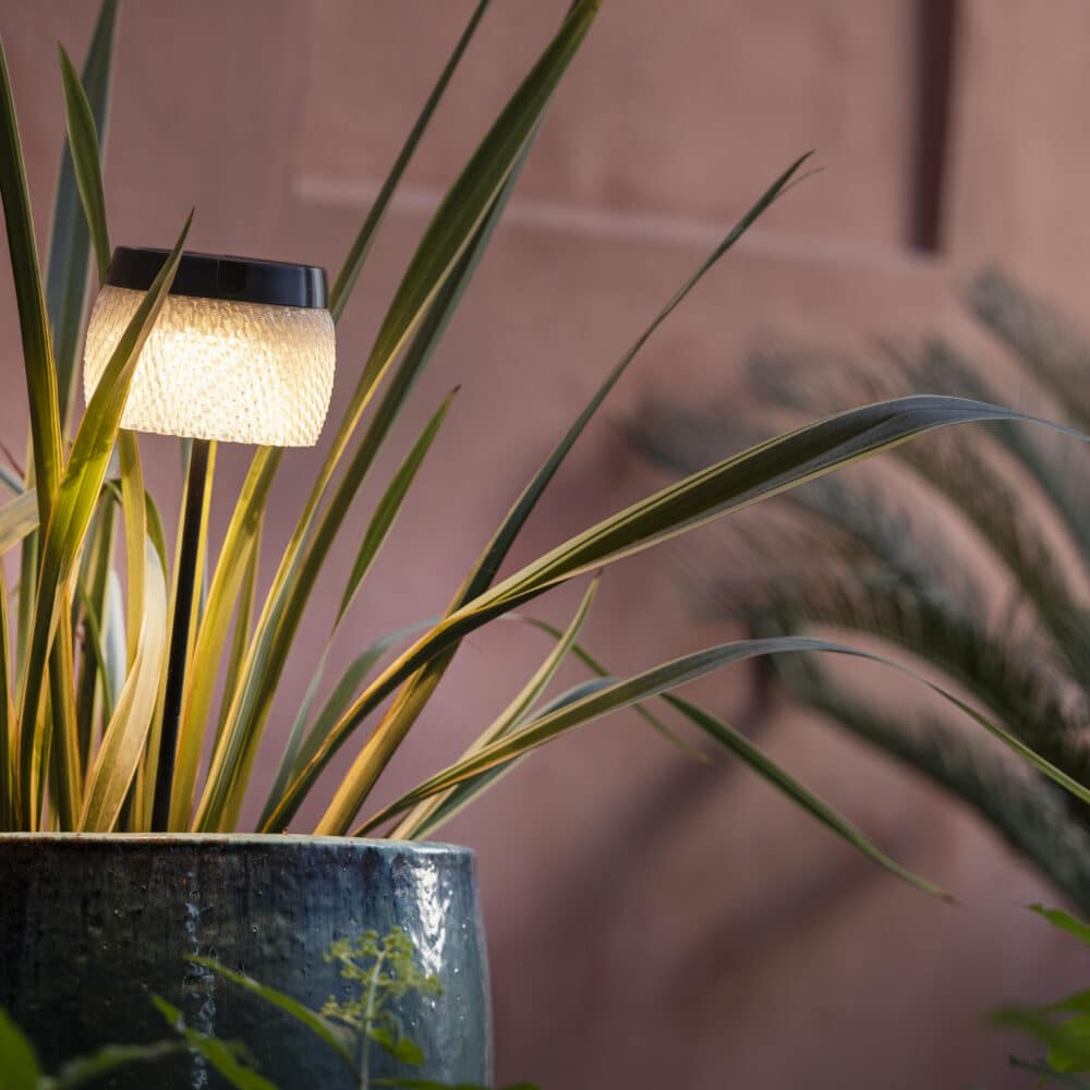 Torche LOLIE Small 200 Lumens 85 cm – Crystal