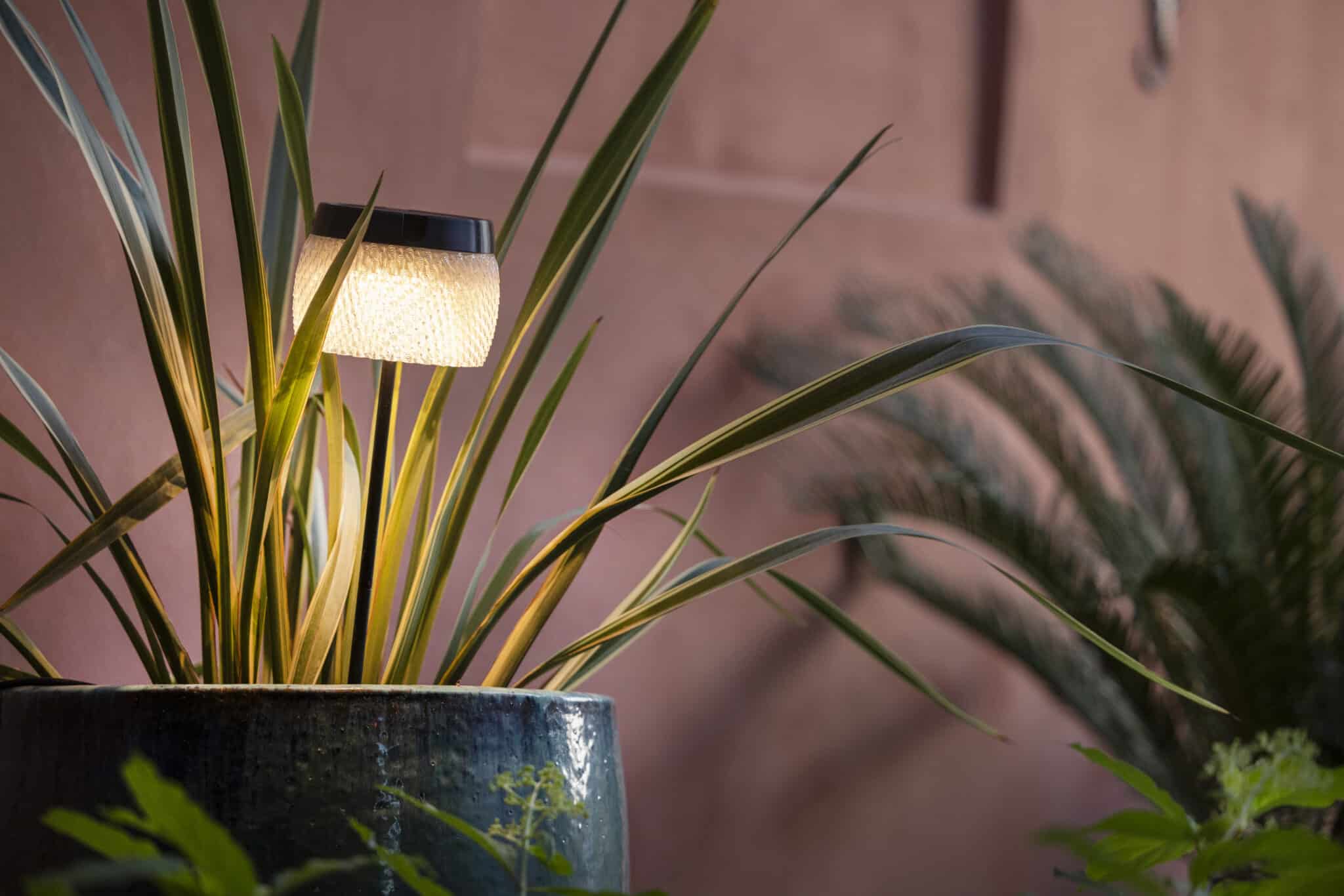 Torche LOLIE Small 200 Lumens 85 cm – Crystal