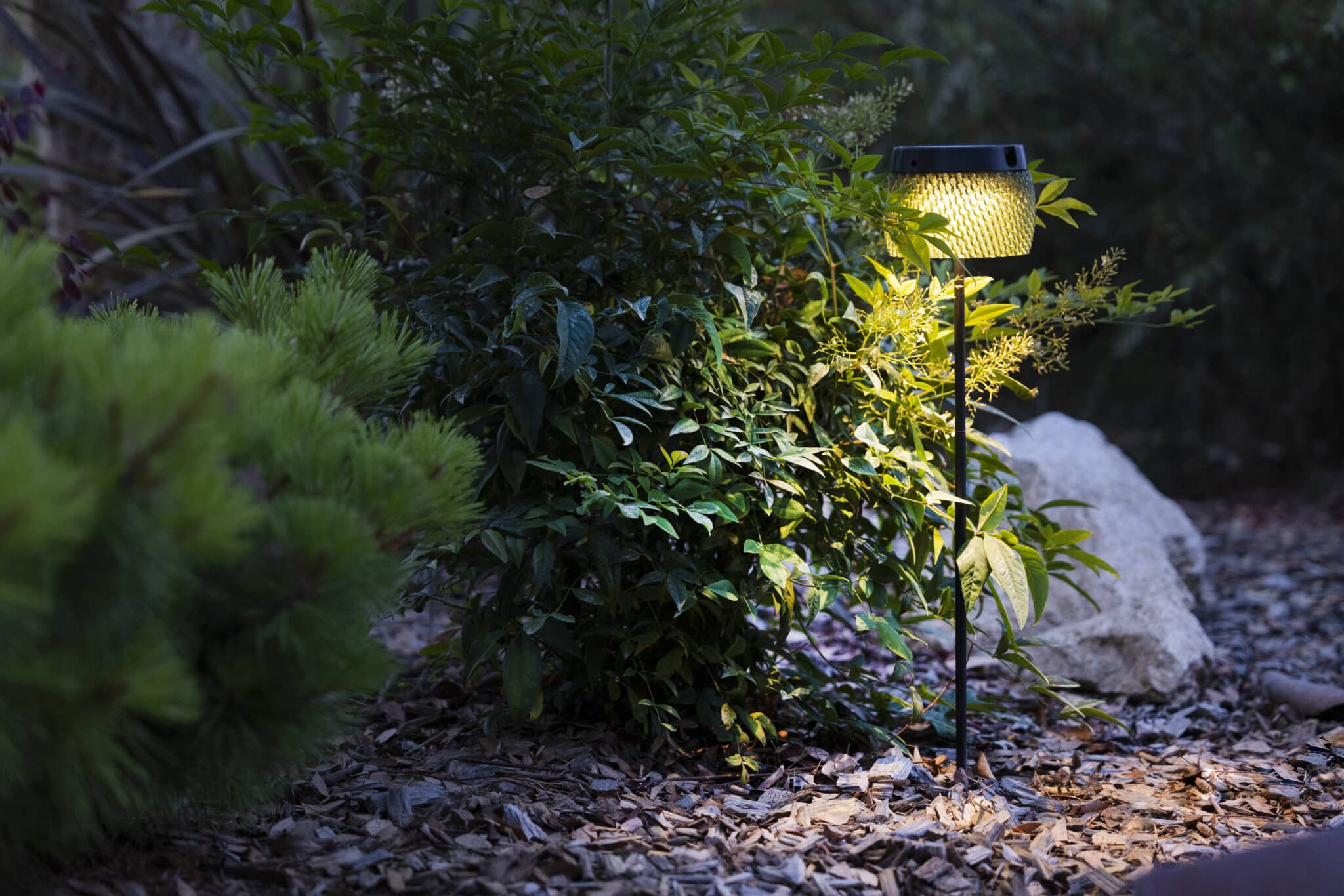 Torche LOLIE Small à planter – Ambre – Image 3