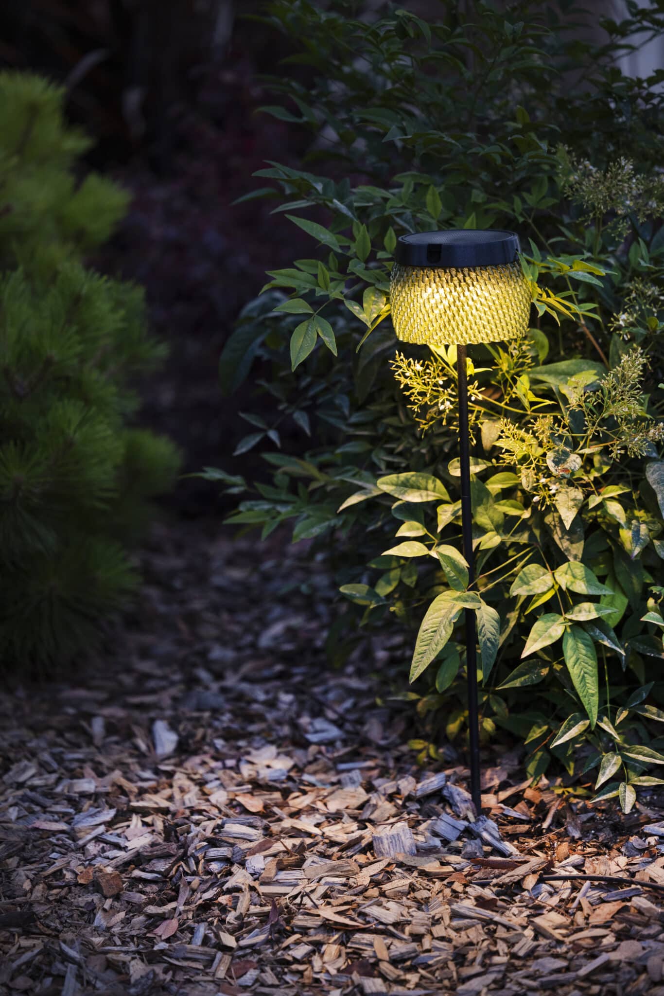 Torche LOLIE Small à planter – Ambre