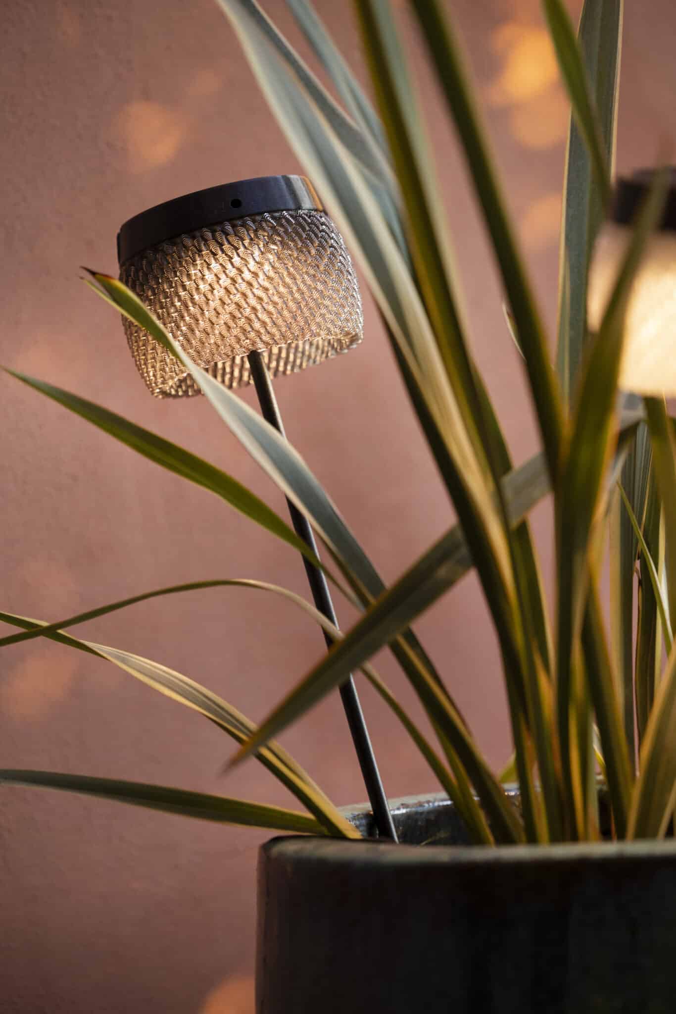 Torche LOLIE Small à planter 85cm– Cendre