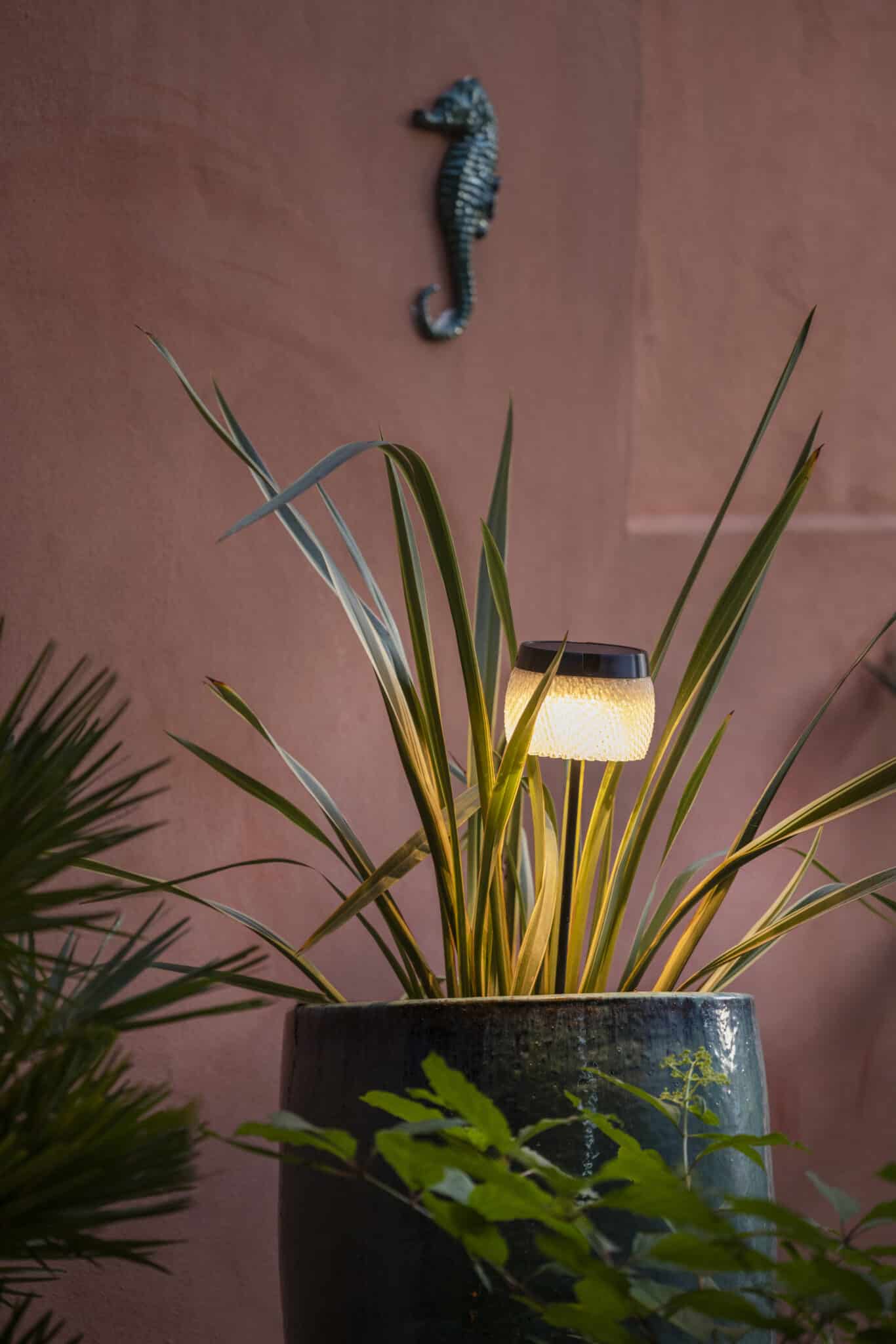 Torche LOLIE Small à planter – Safran