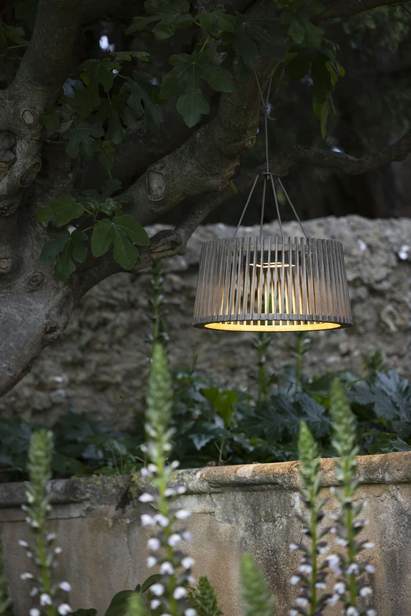 Ensemble potence SKAAL – Kit complet – Image 2