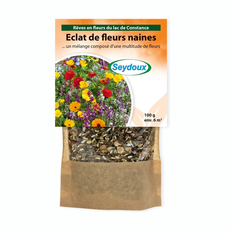 Eclat de fleurs naines
